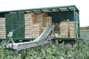 TRASPORTATORI DI VERDURE